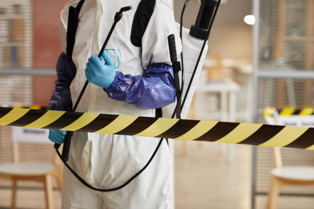 Professional Sewage Cleanup technician working in Genoa, AR
